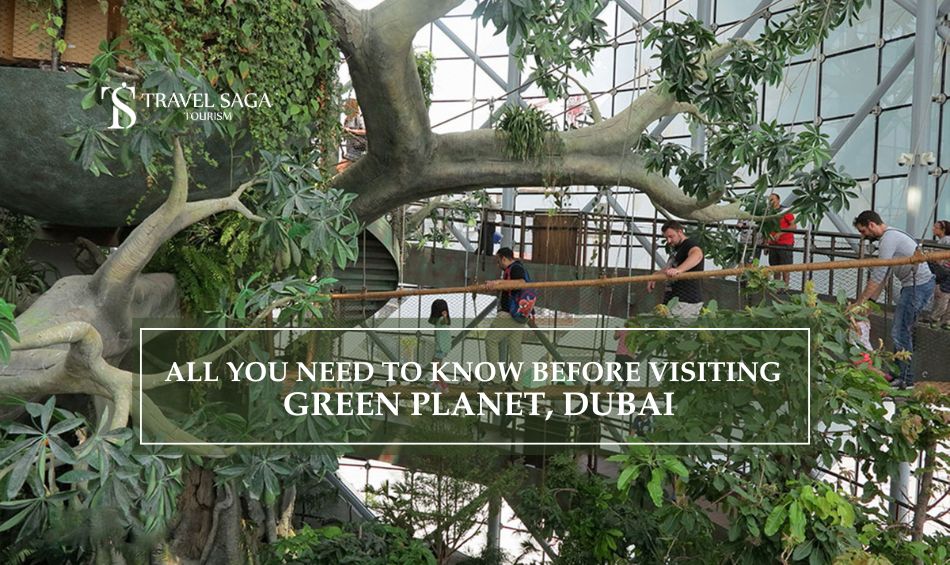 All You Need To Know Before Visiting Green Planet Dubai - Travel Saga 